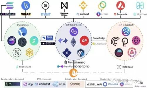 如何选择适合自己的区块链钱包金币?