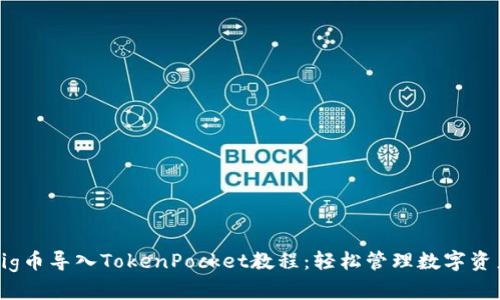 Pig币导入TokenPocket教程:轻松管理数字资产