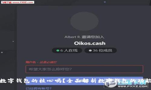 余额是数字钱包的核心吗？全面解析数字钱包的功能与价值