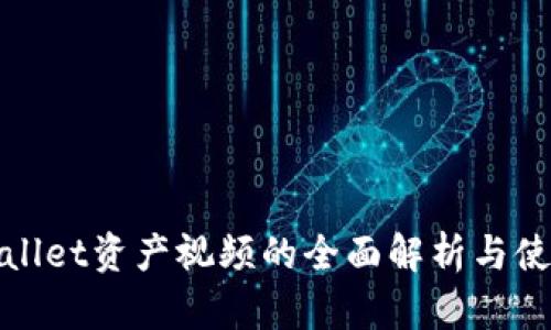 : tpWallet资产视频的全面解析与使用指南