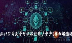 tpWallet公司是否可以冻结用户资产？详细解读与分