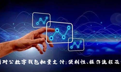 全面解析对公数字钱包批量支付：便利性、操作流程及注意事项