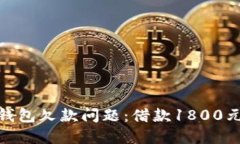 : 如何解决数字钱包欠款问题：借款1800元不还的