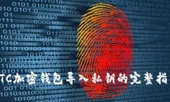 LTC加密钱包导入私钥的完整指导