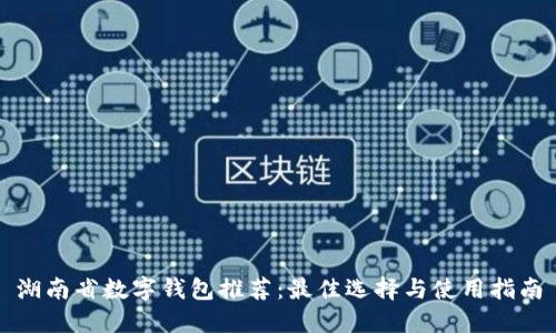 湖南省数字钱包推荐：最佳选择与使用指南