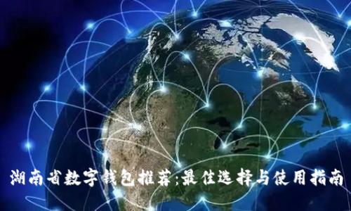 湖南省数字钱包推荐：最佳选择与使用指南