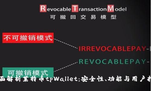 全面解析莱特币tpWallet：安全性、功能与用户指南