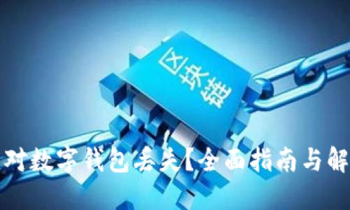 如何应对数字钱包丢失？全面指南与解决方案