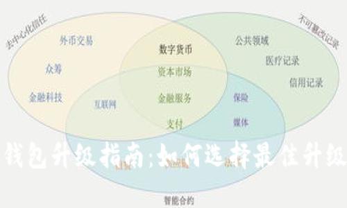 数字钱包升级指南：如何选择最佳升级类型