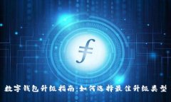 数字钱包升级指南：如何选择最佳升级类型