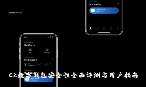 CK数字钱包安全性全面评测与用户指南
