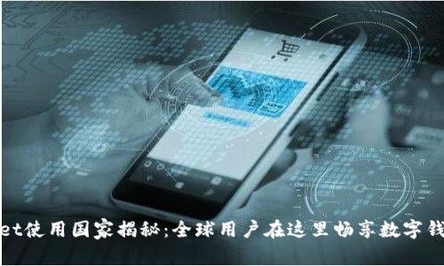 tpWallet使用国家揭秘：全球用户在这里畅享数字钱包服务