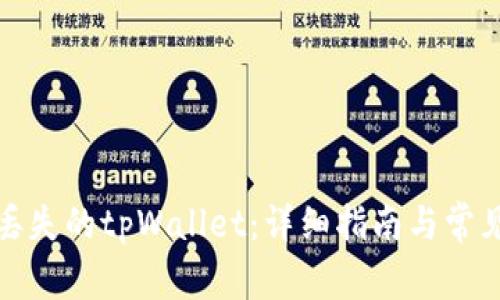 如何找回丢失的tpWallet：详细指南与常见问题解答