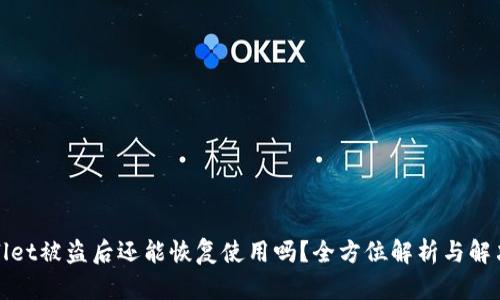 tpWallet被盗后还能恢复使用吗？全方位解析与解决方案