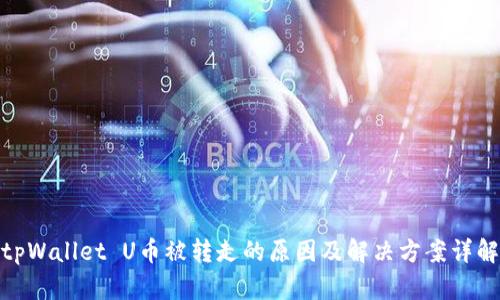 tpWallet U币被转走的原因及解决方案详解
