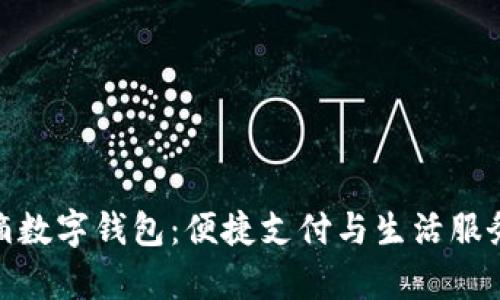 全面解析滴滴数字钱包：便捷支付与生活服务的完美结合