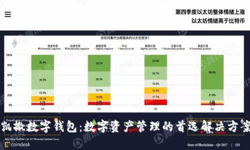 凯撒数字钱包：数字资产管理的首选解决方案