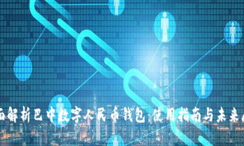 全面解析巴中数字人民币钱包：使用指南与未来展望