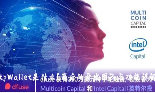 tpWallet是什么？背后的开发团队与功能详解