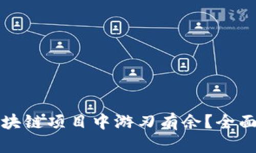 如何在钱包类区块链项目中游刃有余？全面解析与实操指南