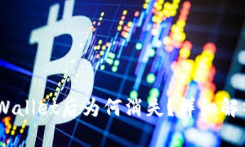 USDT转入TPWallet后为何消失？详细解析及解决方案