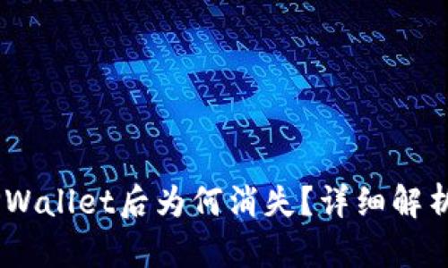 USDT转入TPWallet后为何消失？详细解析及解决方案