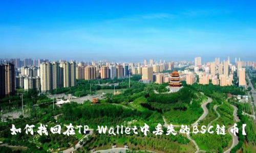 如何找回在TP Wallet中丢失的BSC链币？