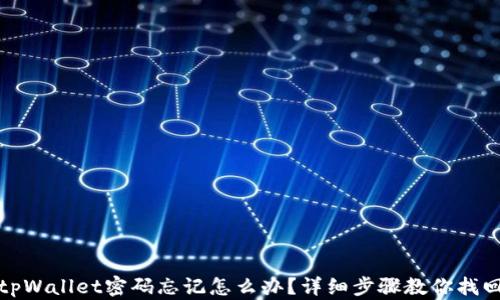 
tpWallet密码忘记怎么办？详细步骤教你找回