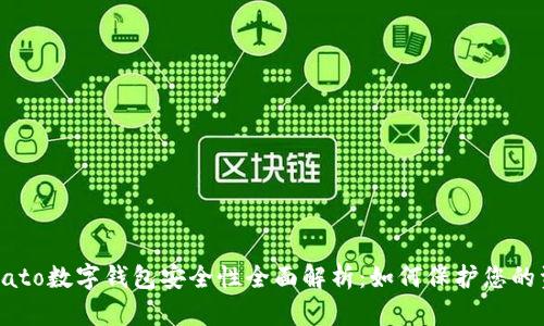 Potato数字钱包安全性全面解析：如何保护您的资产