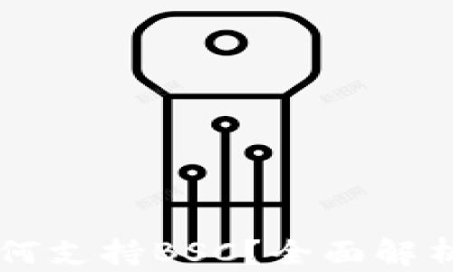
tpWallet如何支持BSC？全面解析与使用指南