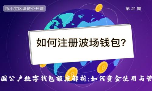 中国公户数字钱包额度解析：如何资金使用与管理
