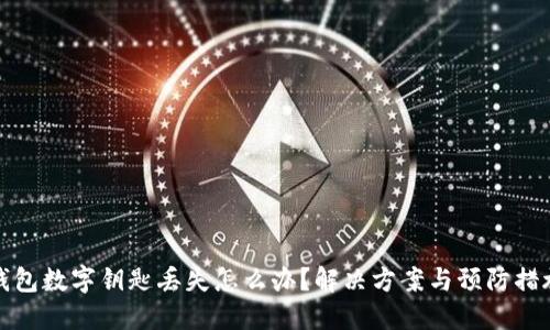 钱包数字钥匙丢失怎么办？解决方案与预防措施