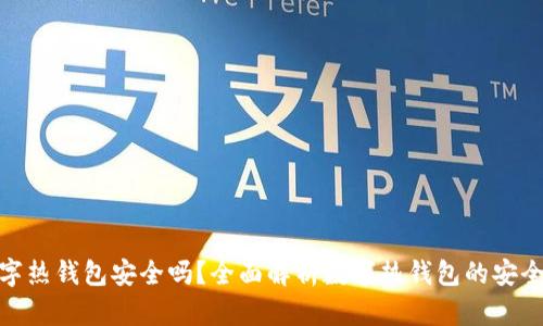 数字热钱包安全吗？全面解析数字热钱包的安全性