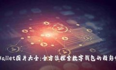 tpWallet图片大全：全方位探索数字钱包的精彩世界
