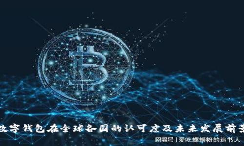 数字钱包在全球各国的认可度及未来发展前景