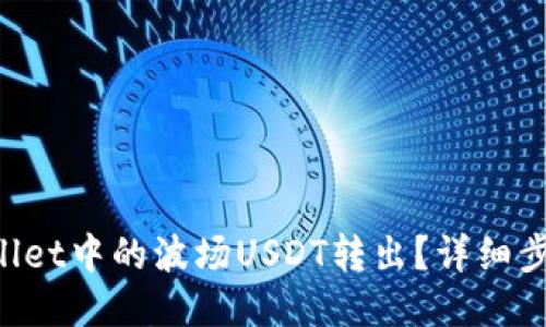如何将TP Wallet中的波场USDT转出？详细步骤与操作指南