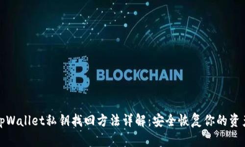 tpWallet私钥找回方法详解：安全恢复你的资产