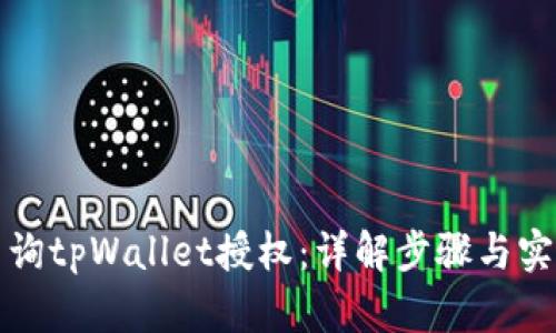 如何查询tpWallet授权：详解步骤与实用技巧