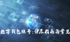 如何查看数字钱包账号：详尽指南与常见问题解