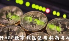 建设银行APP数字钱包使用指南与功能分析