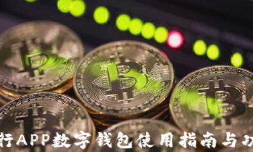 
建设银行APP数字钱包使用指南与功能分析