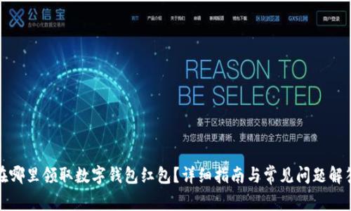 在哪里领取数字钱包红包？详细指南与常见问题解答