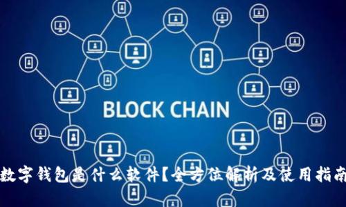数字钱包是什么软件？全方位解析及使用指南