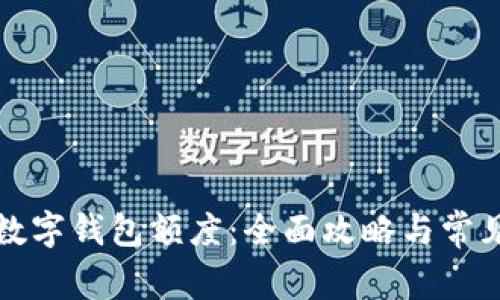 如何查看数字钱包额度：全面攻略与常见问题解答