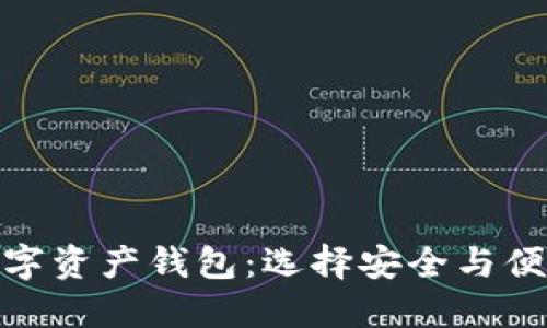 探索最大的数字资产钱包：选择安全与便捷的理想之选