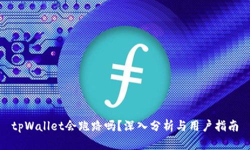 tpWallet会跑路吗？深入分析与用户指南