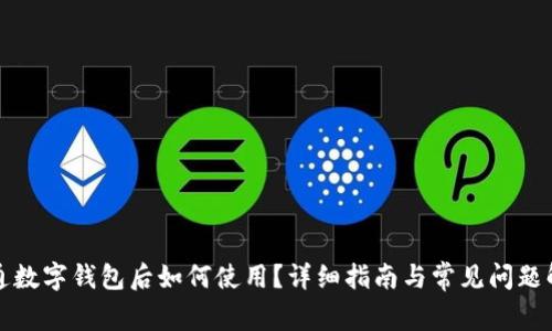 开通数字钱包后如何使用？详细指南与常见问题解答