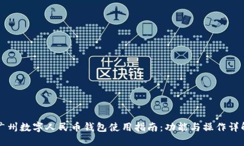 广州数字人民币钱包使用指南：功能与操作详解