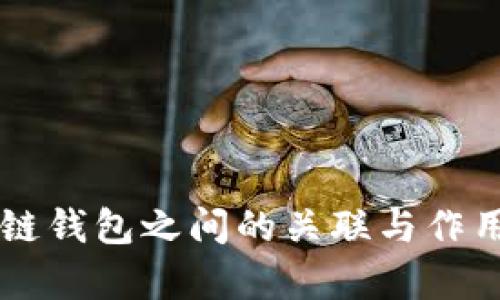 区块链钱包之间的关联与作用解析