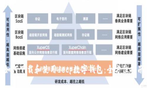 如何下载和使用decp数字钱包：全方位指南